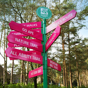Prospect Estate Agency's Crowthorne property prediction for 2025