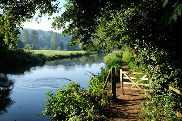 Prospect Estate Agency in Guildford
