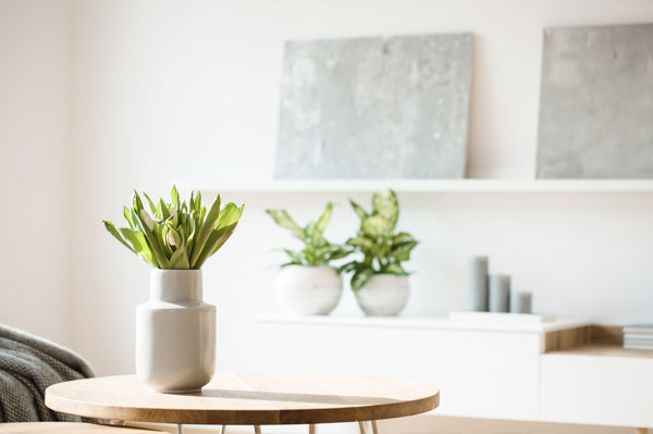 Property valuations with Prospect Estate Agency