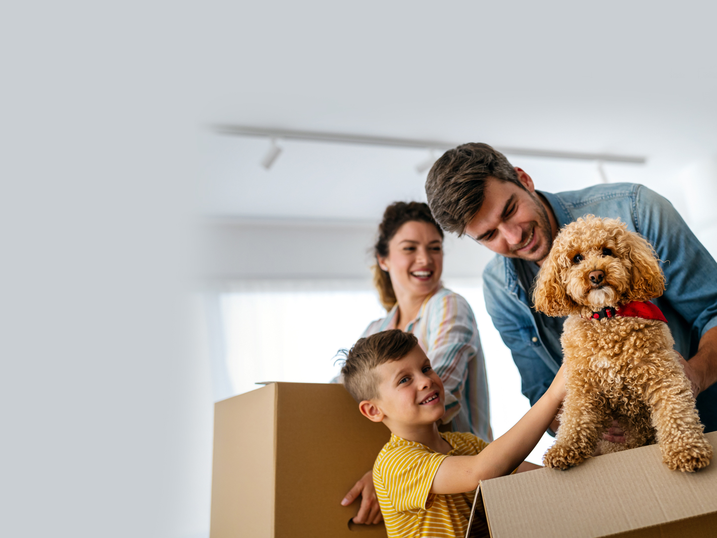How many times will the average brit move house?