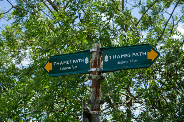 Thames Path between Laleham and Staines