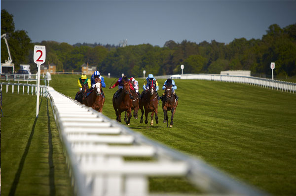 Ascot Racecourse near Warfield