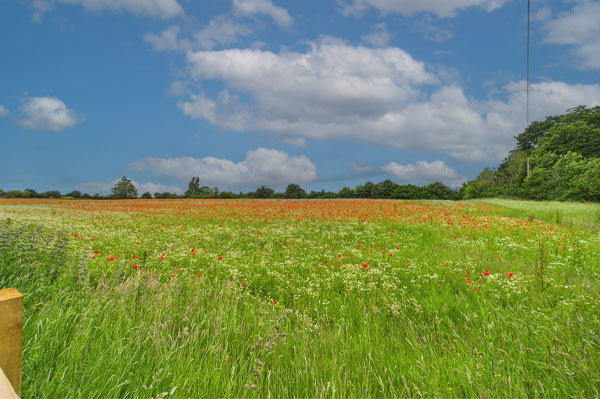 Prospect Estate Agency in White Waltham