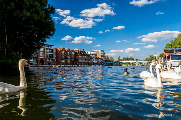 Prospect Estate Agency in Windsor