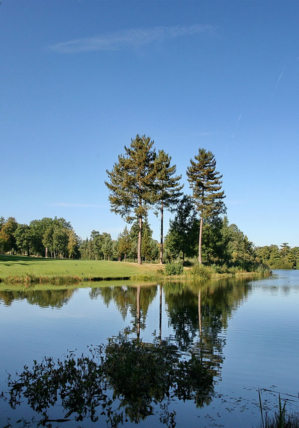 Bearwood Lakes in Winnersh