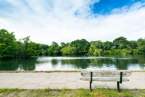 California Country Park in Wokingham