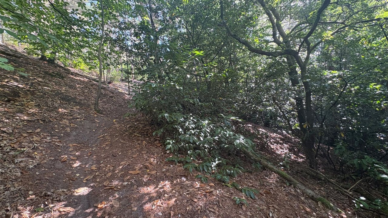 Picture No. 02 - Burnt Hill Road, Farnham