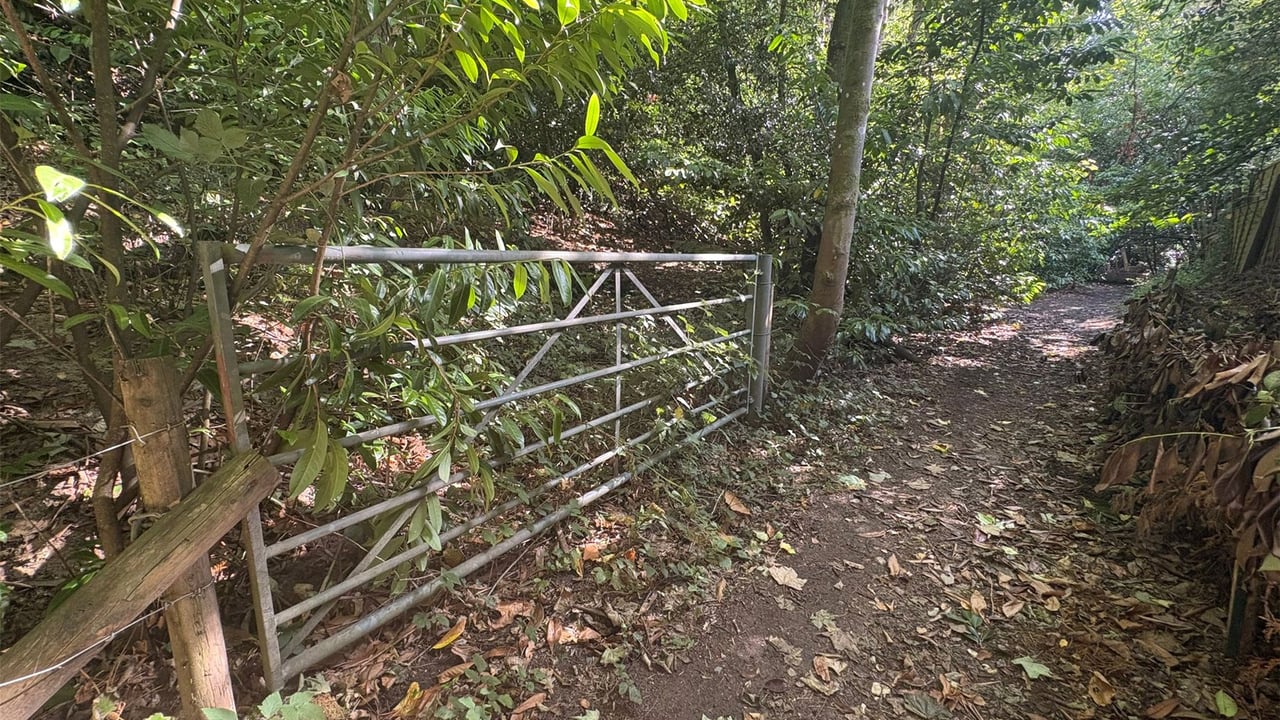 Picture No. 03 - Burnt Hill Road, Farnham