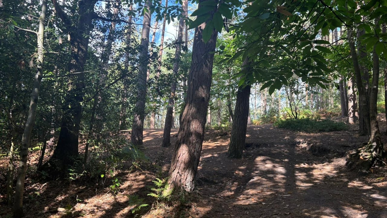 Picture No. 04 - Burnt Hill Road, Farnham