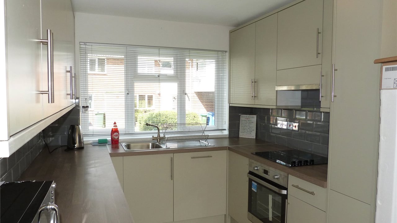 Picture No. 13 - Viking, Bracknell