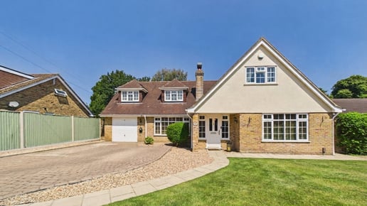 Conifer Drive