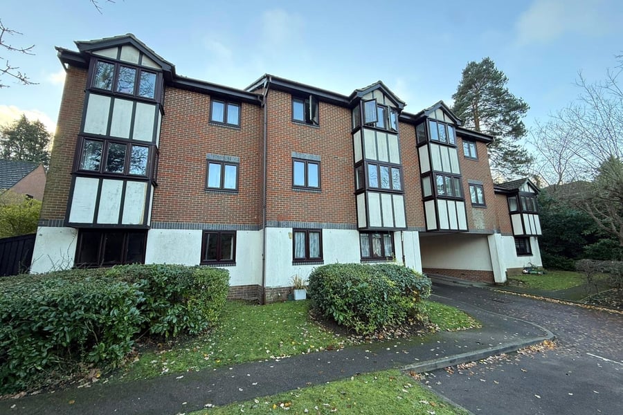 Woodpeckers, Bracknell