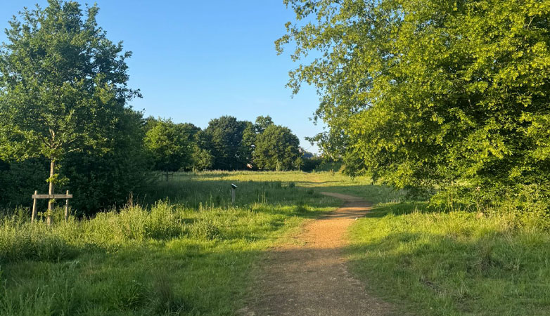 Hazebrouck Meadows in Arborfield