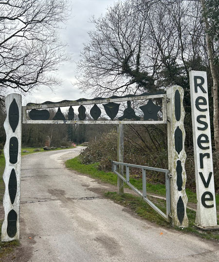 Lakeside Nature Reserve