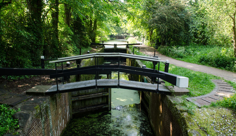 Basingstoke Canal