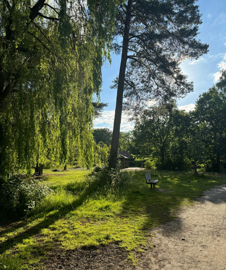 The Ridges in Finchampstead