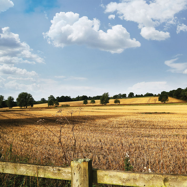 Frost Folly in Warfield