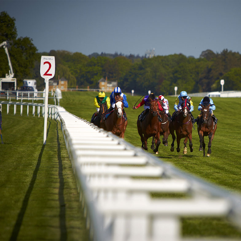 Ascot Racecourse near Warfield