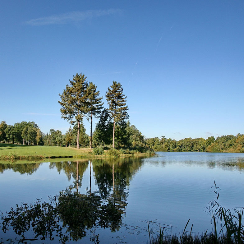 Bearwood Lakes Golf Couse in Winnersh